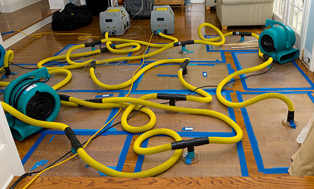 Professional Flood Damage Restoration technician working in Nerstrand, MN